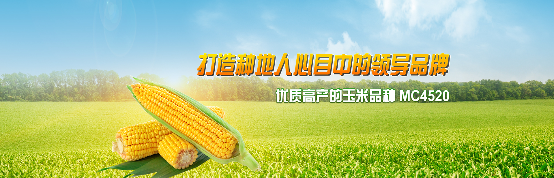 首页轮播