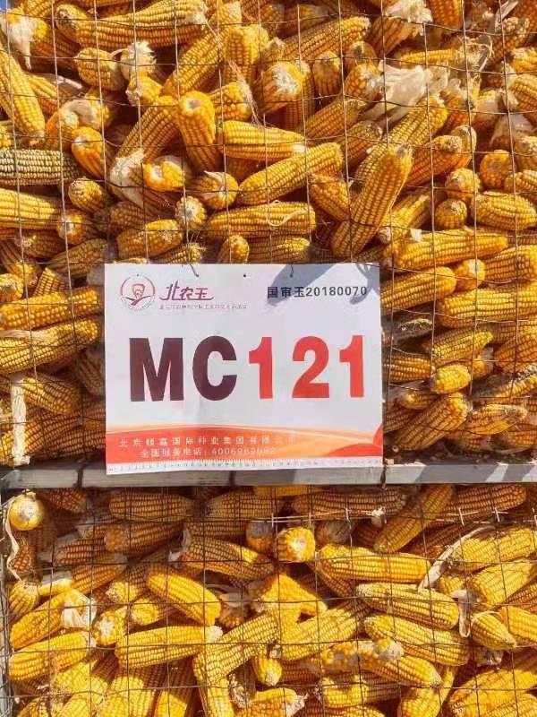 MC121
