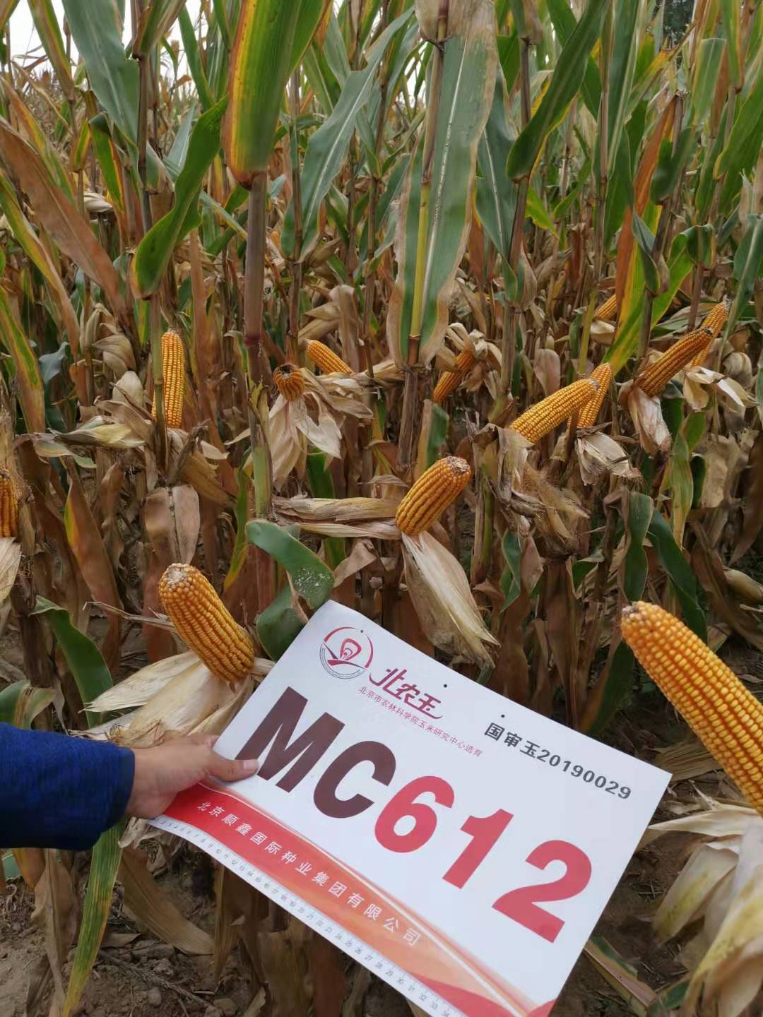 MC612