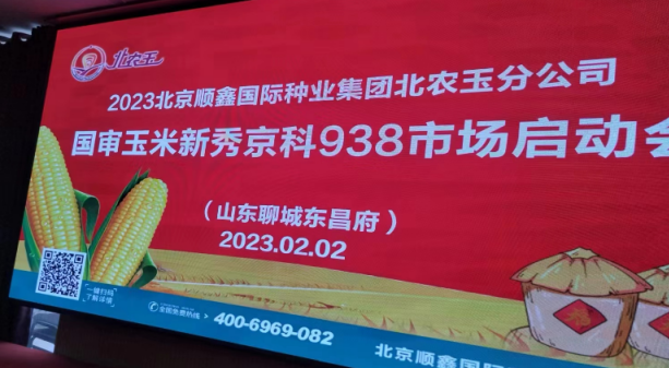 新春里的技术推广会，京科938山东展风采