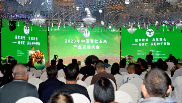 控本增效，农牧融合。好青贮，从好种子开始——2023年中国青贮玉米产业发展大会在山西朔州召开 