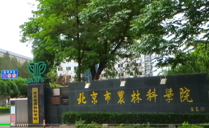 1660185416733613.png